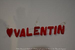 AOBR 2016 02 14 PLAN DE CUQUES LA ST VALENTIN (10)